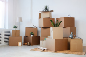 Moving Boxes: Free, Cheap & Easy Options for Your Big Move