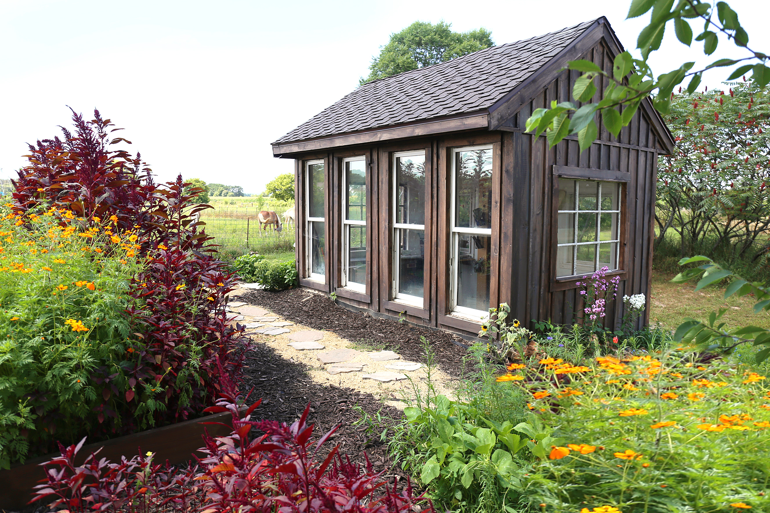 wooden garden shed with windows