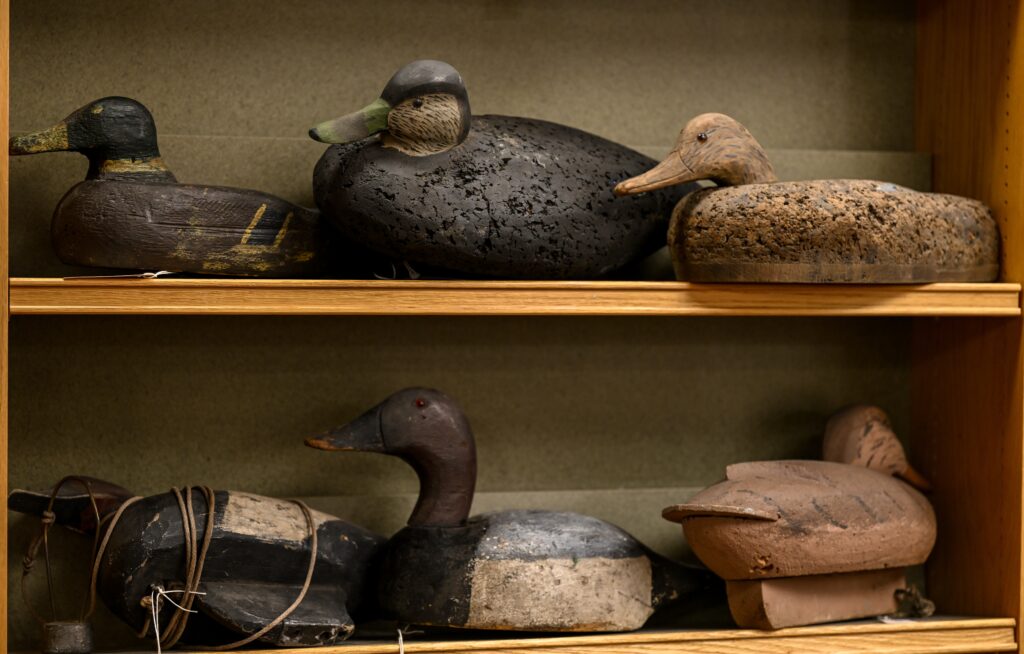 multiple duck decoys on shelves